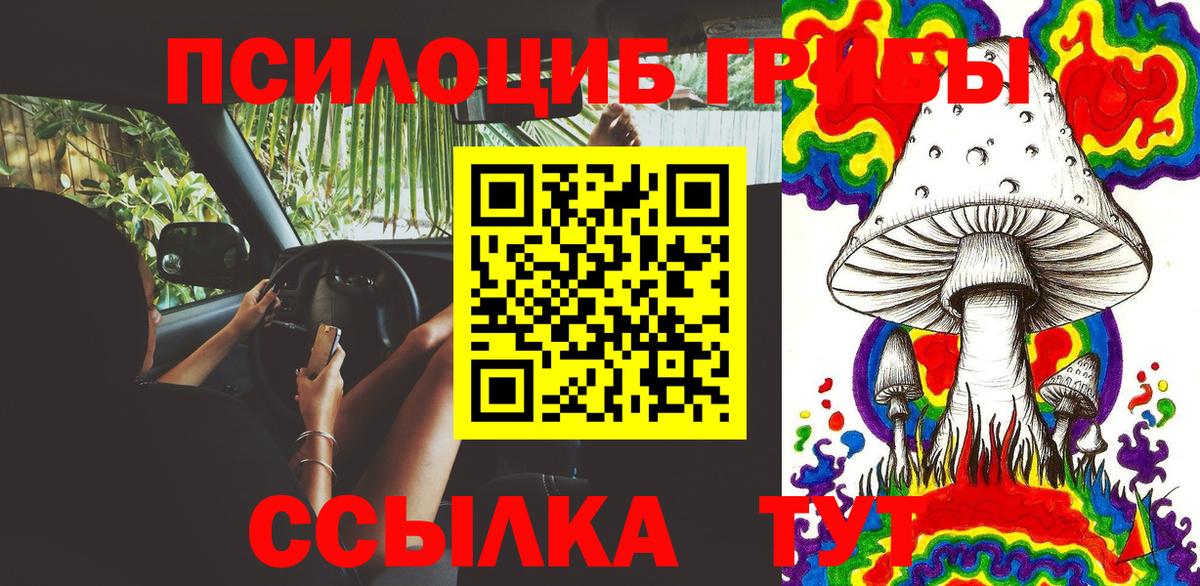 Галлюциногенные грибы Magic Shrooms  Вход с VPN  наркотики  Псилоцибиновые грибы Psilocybe  Астрахань 